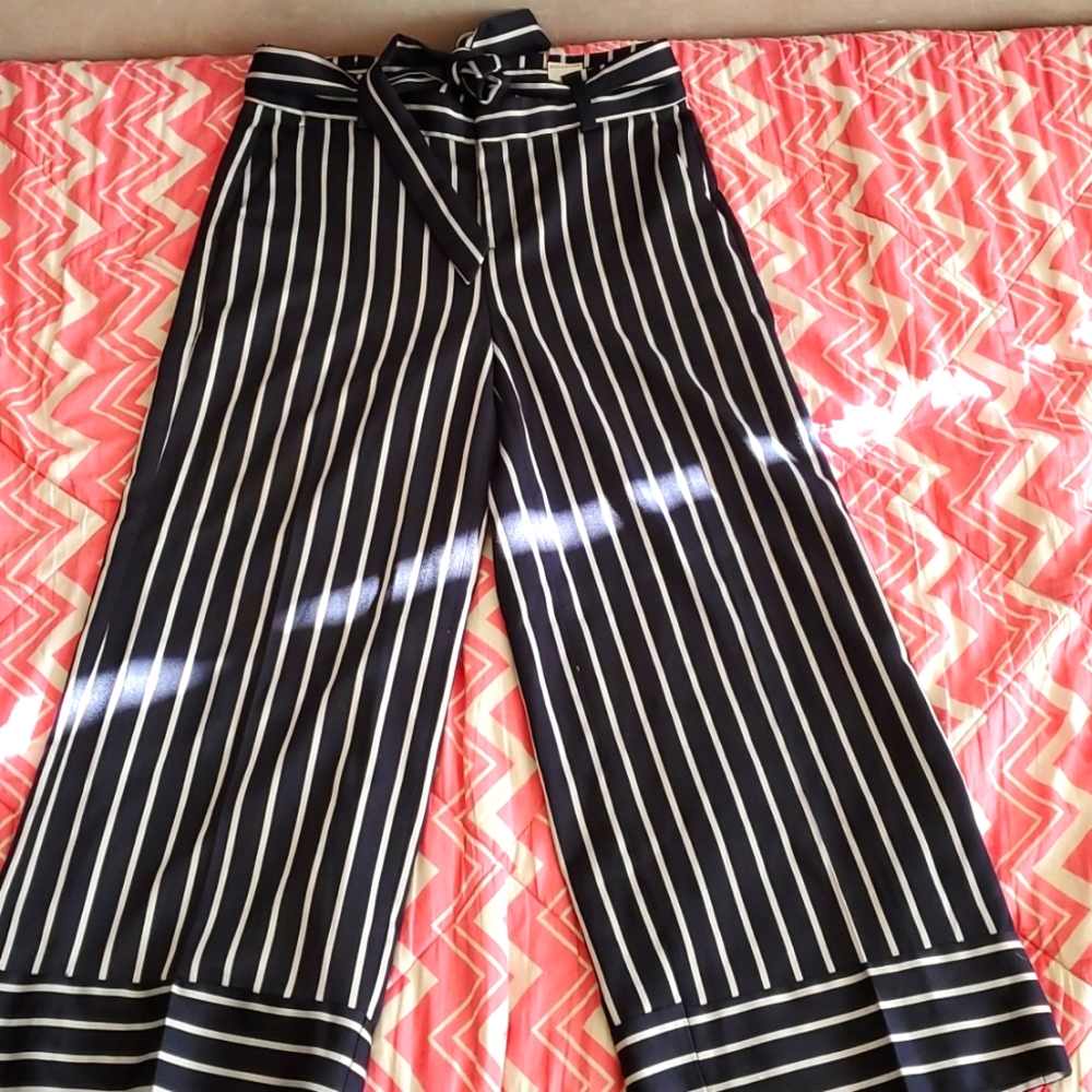 Dress pants